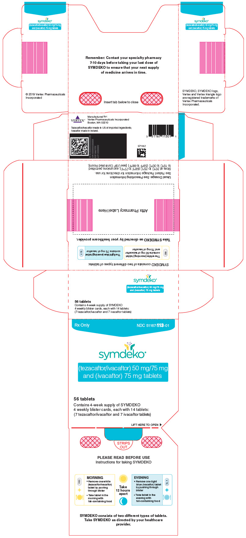 PRINCIPAL DISPLAY PANEL - Kit Carton - 113