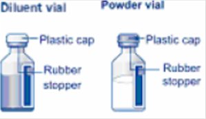 희석제 및 분말 바이알
