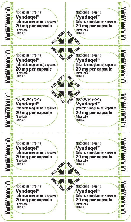 주요 디스플레이 패널 - 20 mg 캡슐 블리스터 카드
